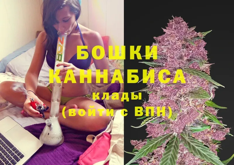 дарнет шоп  Краснослободск  Шишки марихуана OG Kush 